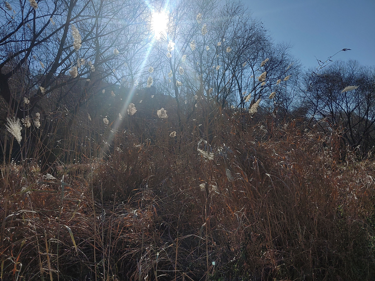 겨울낮의 단상_3.jpg