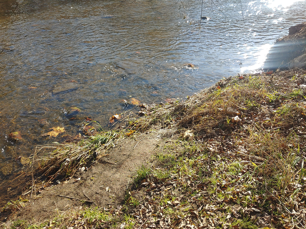 겨울낮의 단상_2.jpg