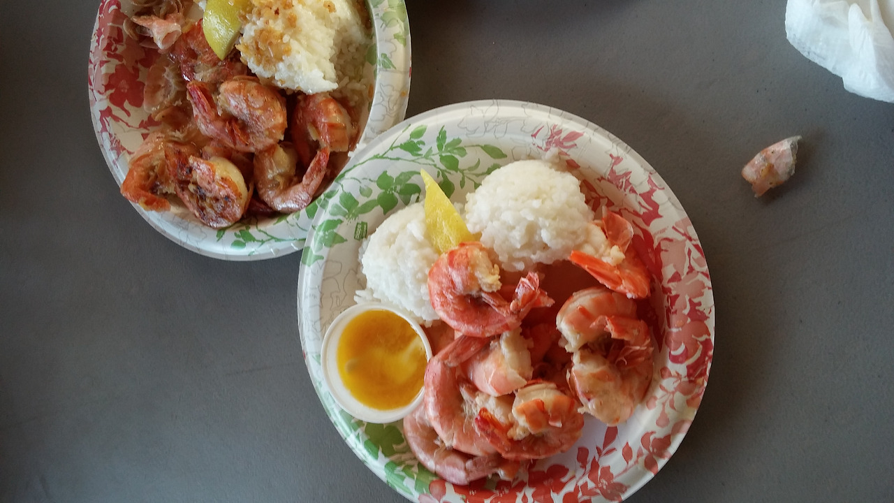 지오바니쉬림프 (1).jpg