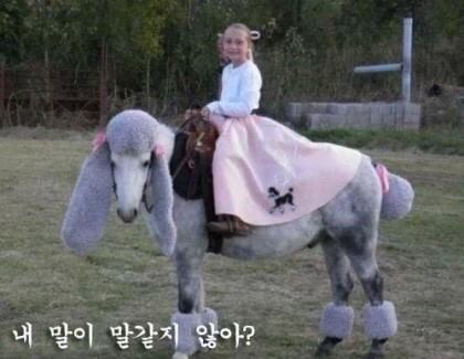 말 같지 않은 말.jpg