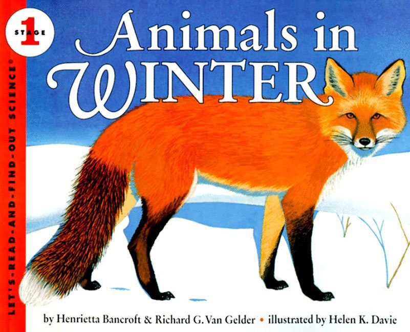 animals-in-winter.jpg
