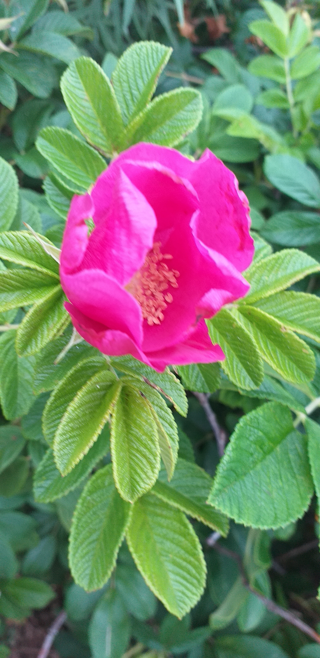 KakaoTalk_20210614_111122636 (1).jpg