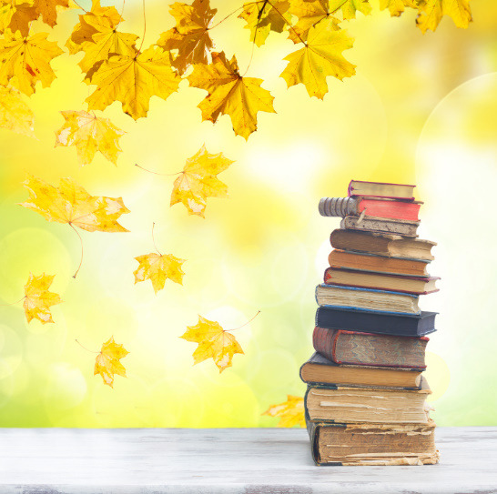 bandicam 2020-11-07 12-34-51-284.jpg