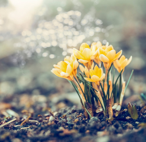 bandicam 2020-11-07 12-41-17-055.jpg