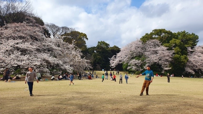 신주쿠교엔 배드민턴.jpg