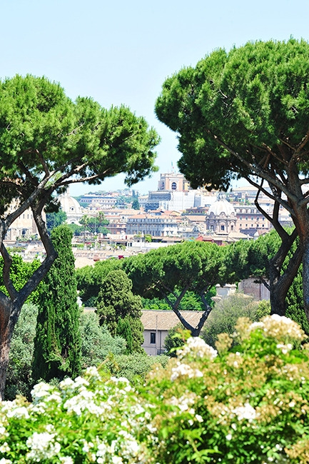 ROMA.jpg