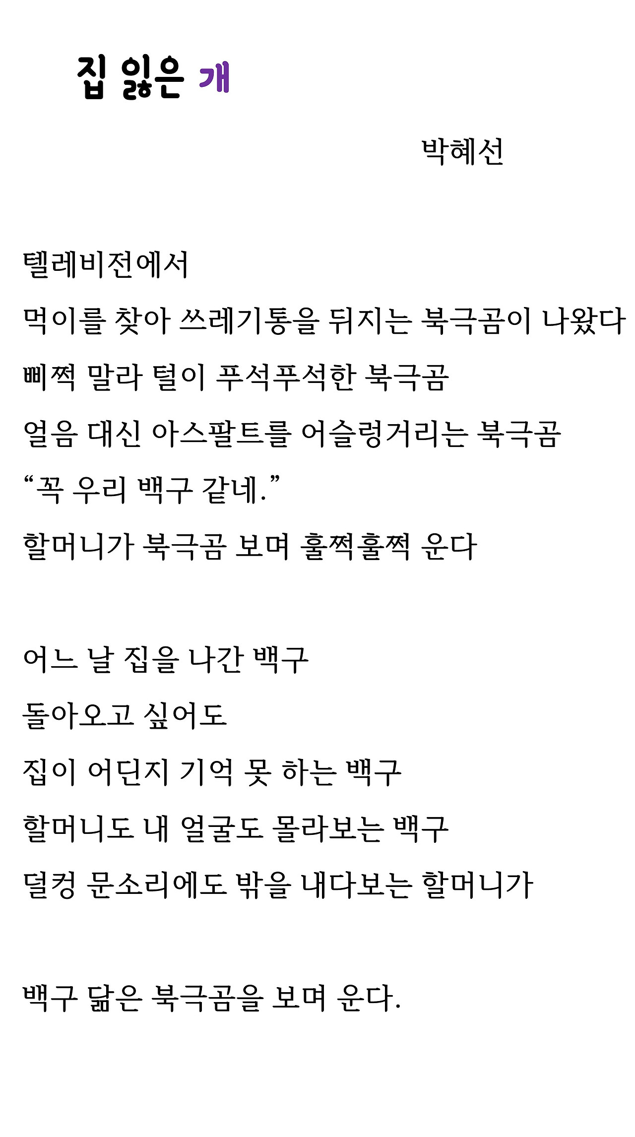 집 잃은 개17.jpg