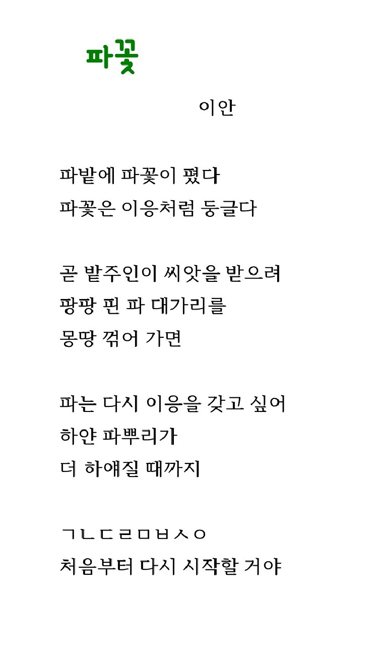 파꽃.jpg-자름.jpg