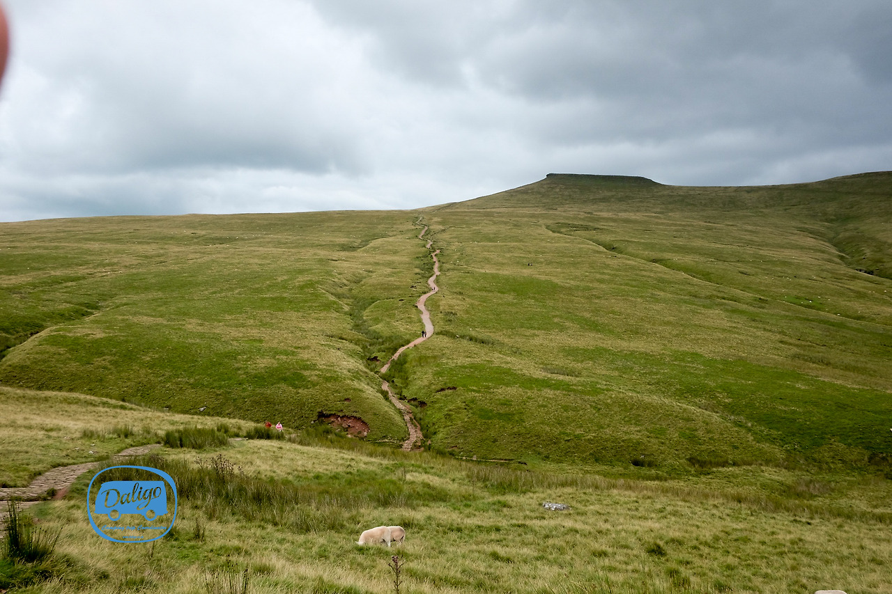 wales (45 of 45).jpg