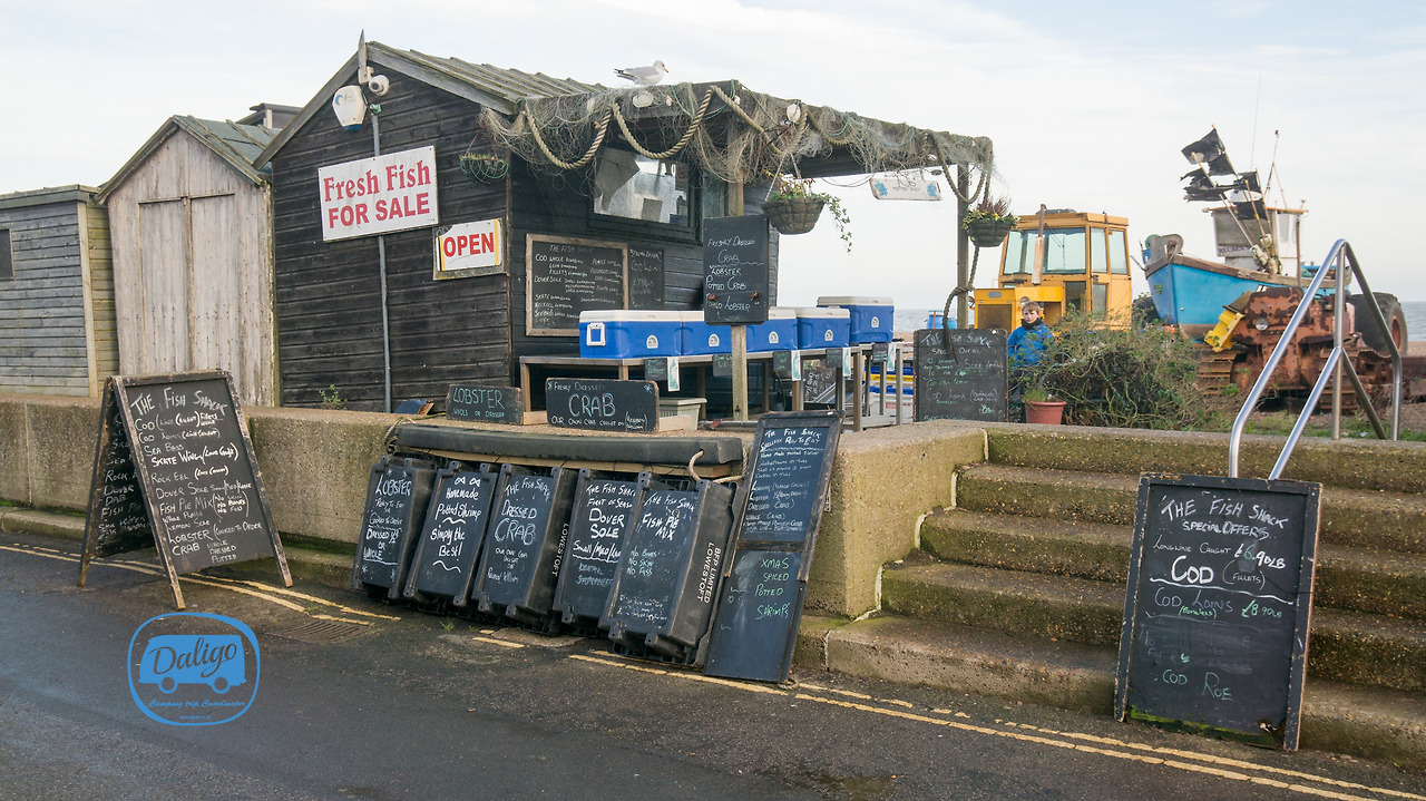 eastanglia (43 of 53).jpg