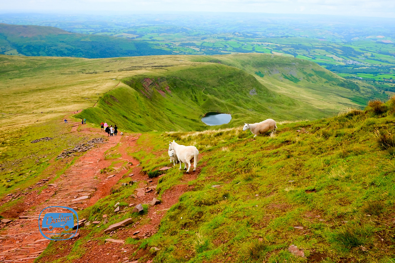 wales (43 of 45).jpg