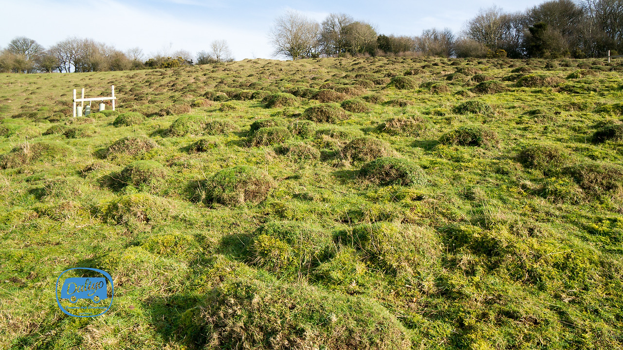 highwycombe (25 of 117).jpg