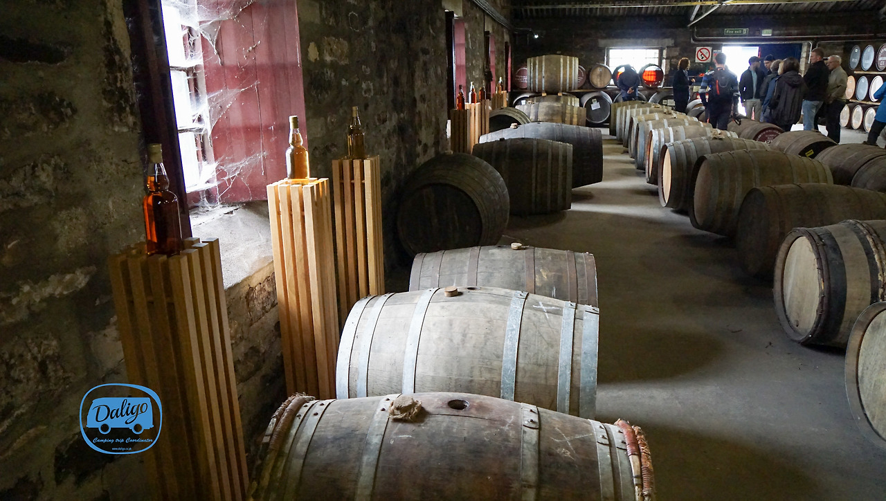 스코들랜드 (702 of 722).jpg