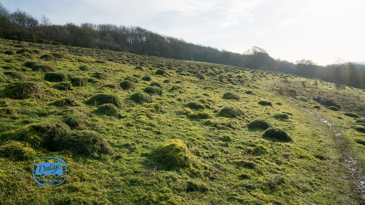 highwycombe (24 of 117).jpg