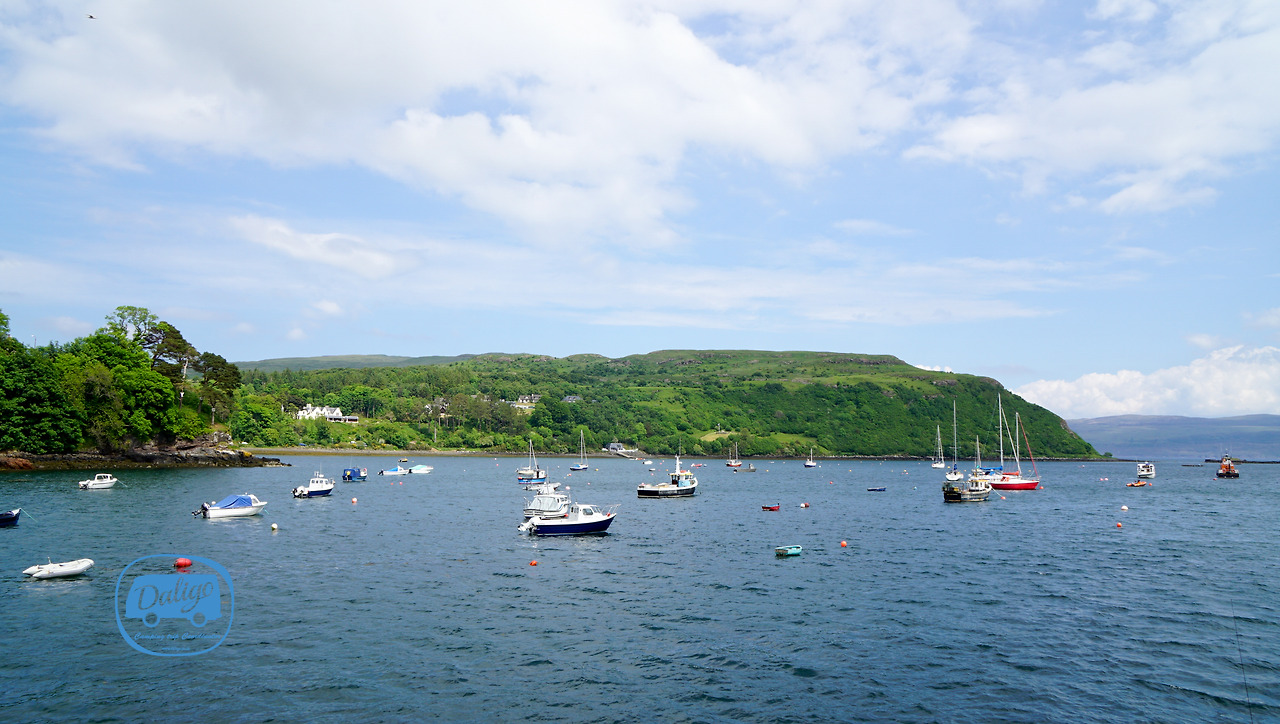 스코들랜드 (380 of 722).jpg