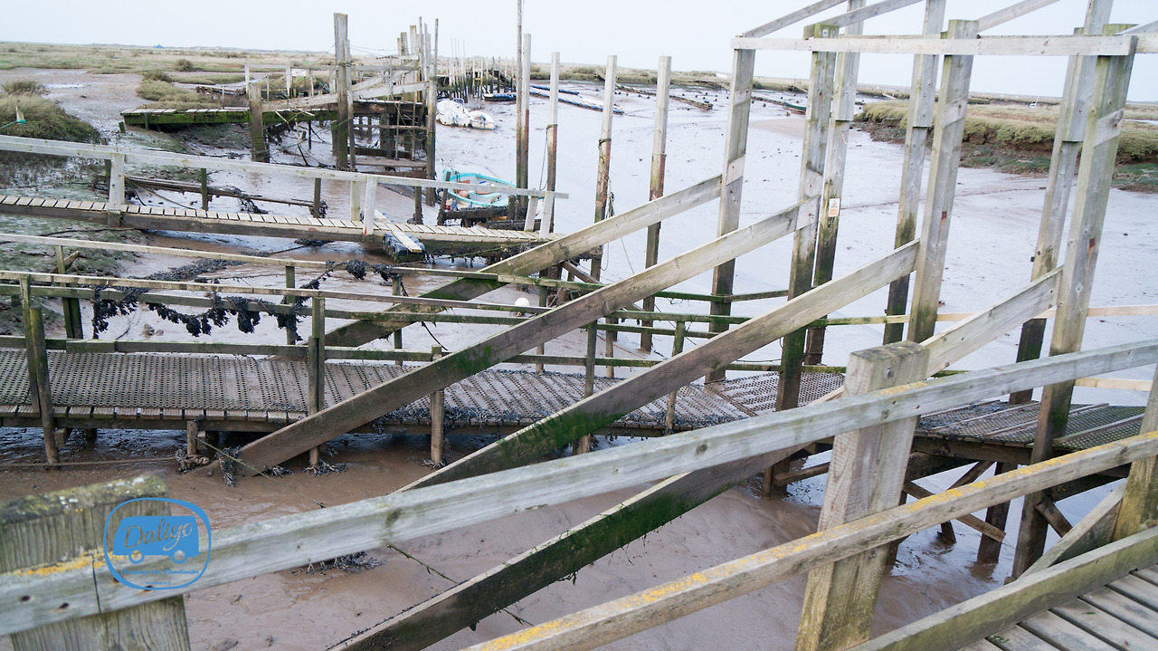 eastanglia (17 of 53).jpg