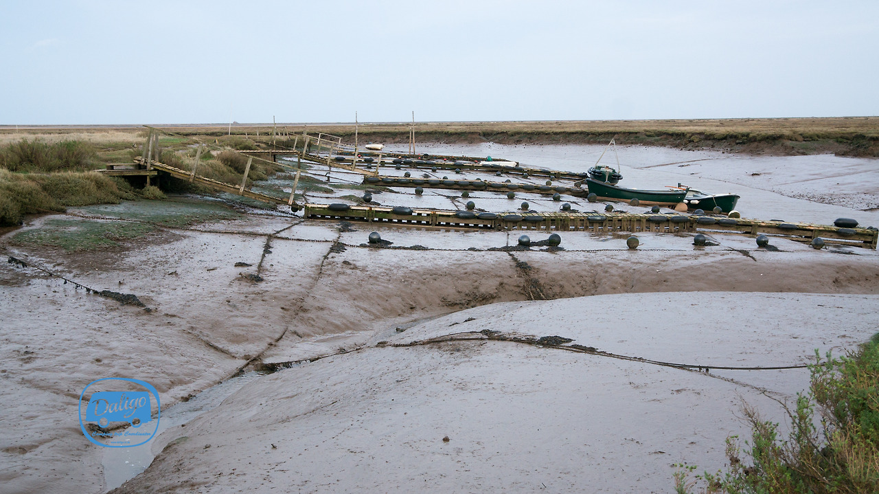 eastanglia (12 of 53).jpg