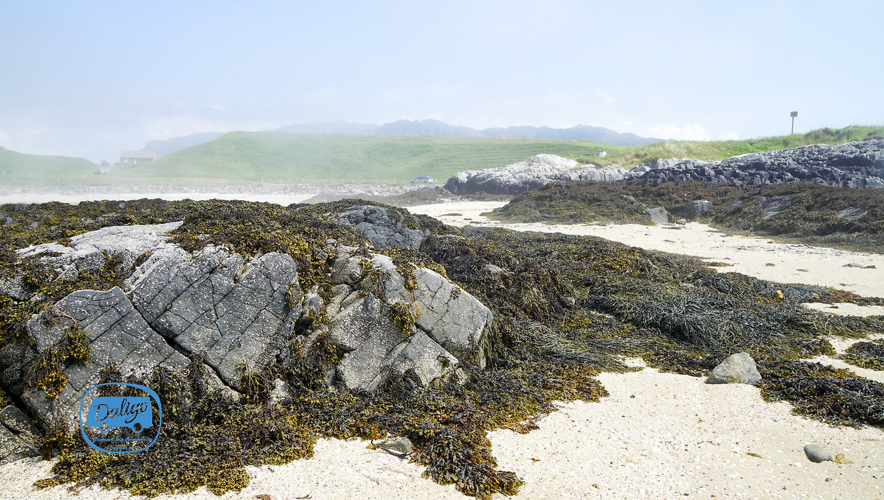 스코들랜드 (208 of 722).jpg