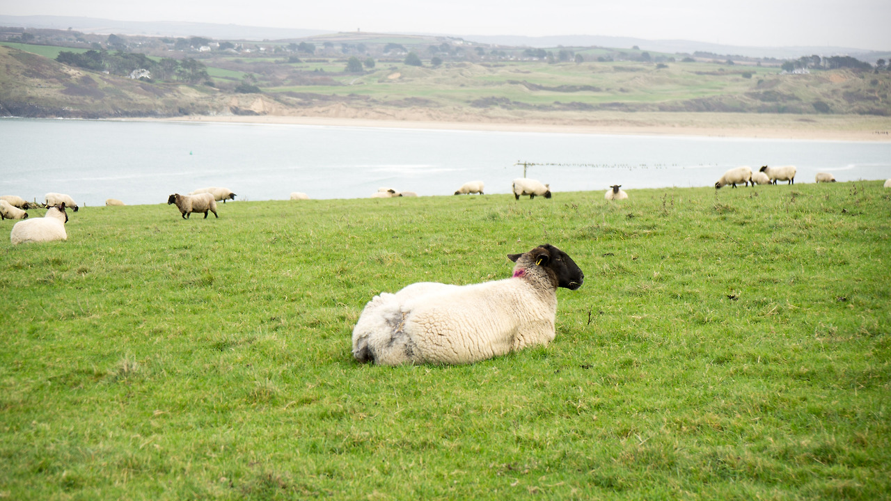 Cornwall (87 of 352).jpg