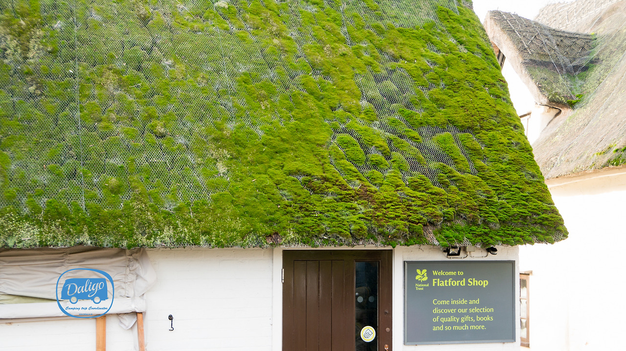 eastanglia (32 of 53).jpg