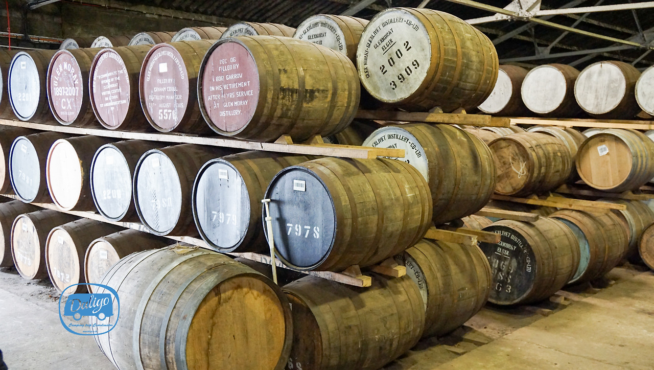 스코들랜드 (706 of 722).jpg