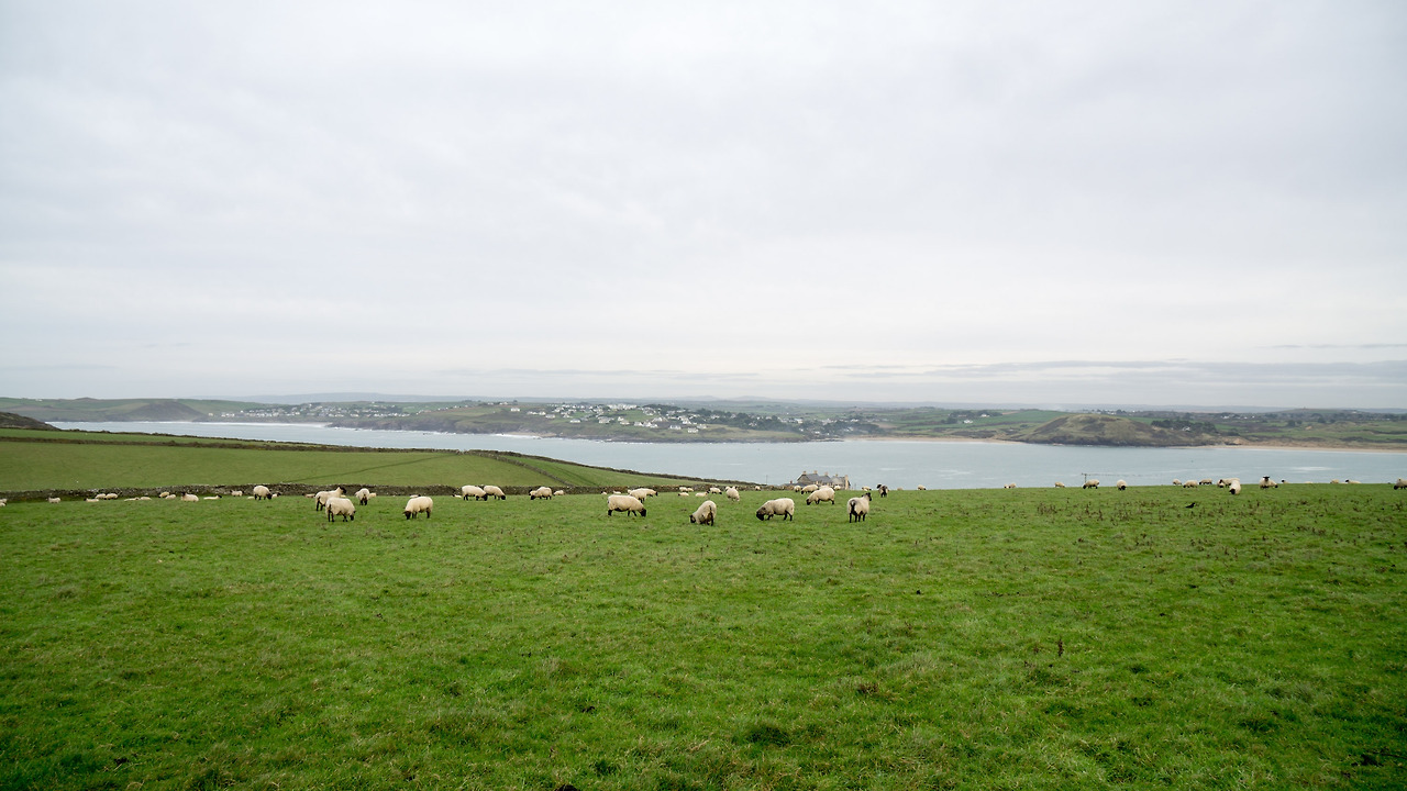 Cornwall (88 of 352).jpg