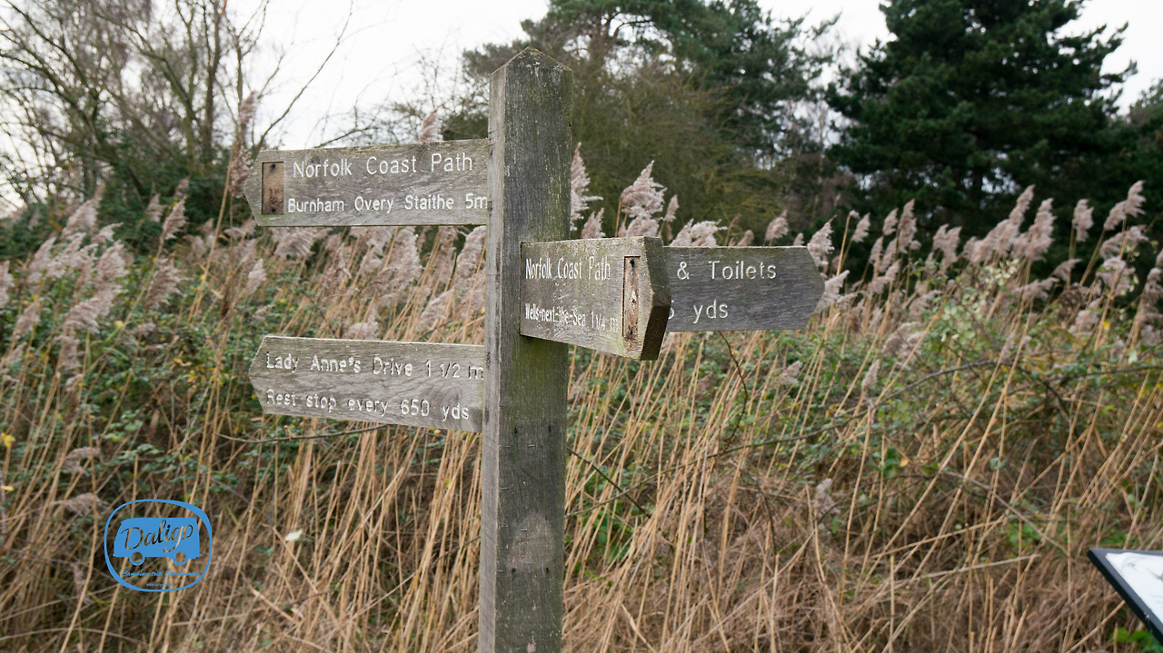 eastanglia (8 of 53).jpg