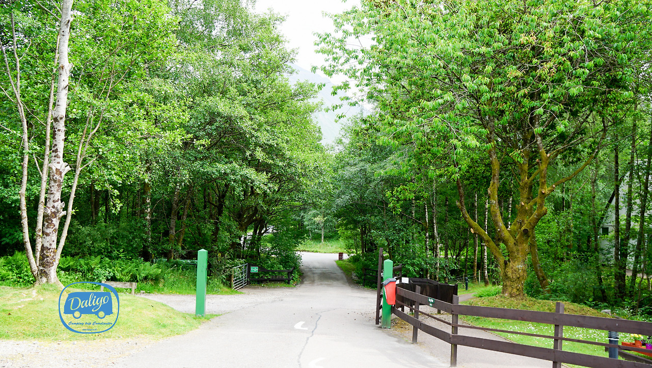 스코들랜드 (124 of 722).jpg