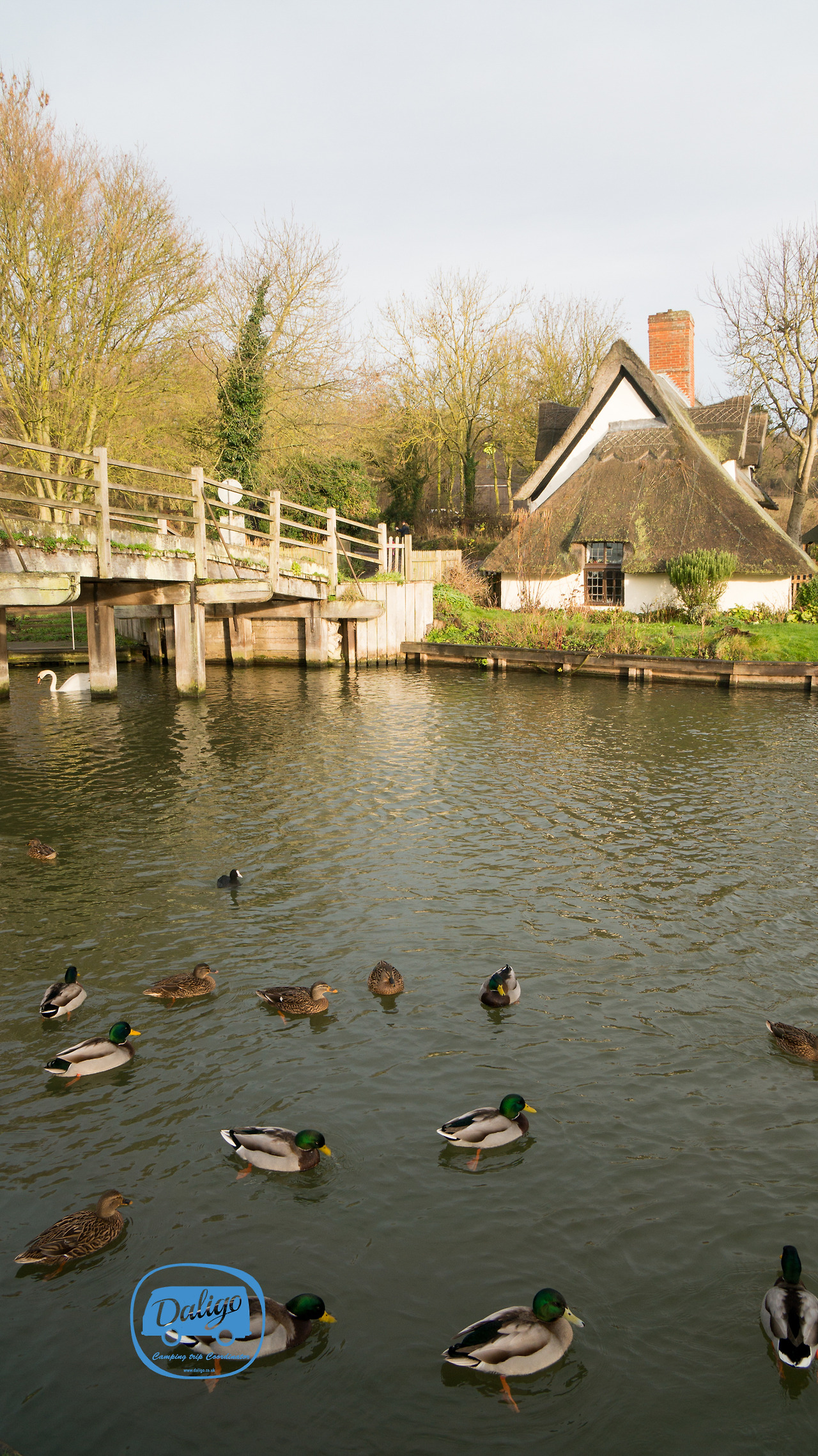 eastanglia (26 of 53).jpg