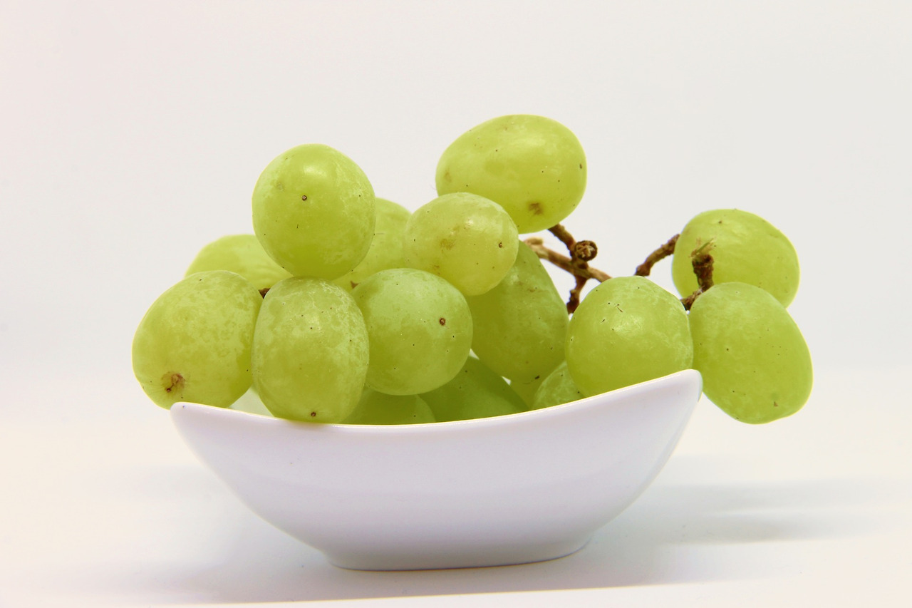grapes-3220158_1920.jpg