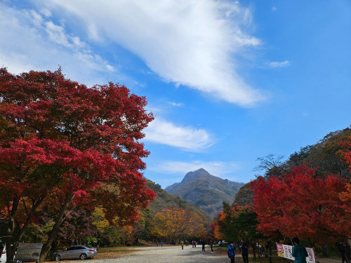 코인 카지노 사이트