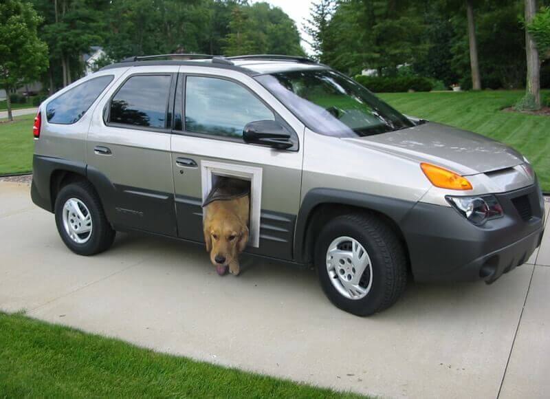 강아지를 위한.jpg