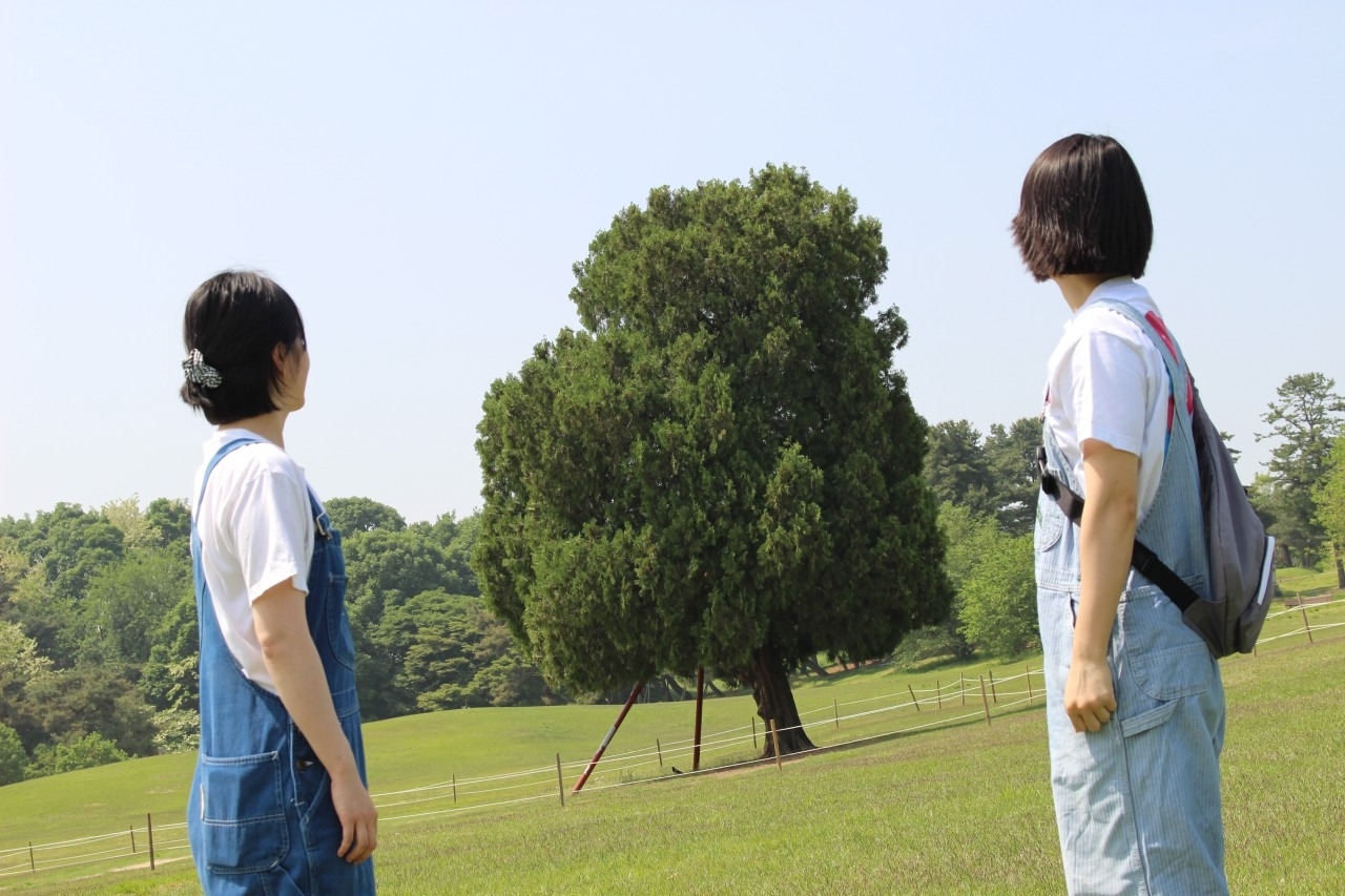 알콩달콩-올림픽공원 웨딩 스냅사진!-59453484520.jpg