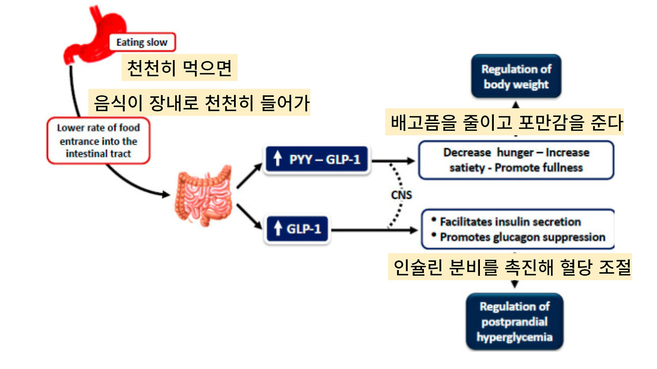 제목을 입력해주세요_-001.jpg