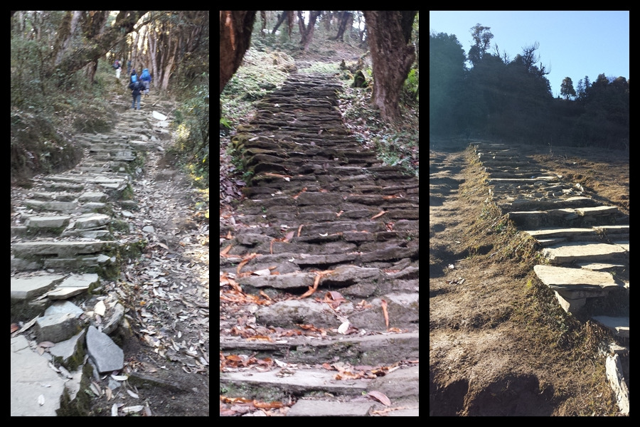 오르막 층층계단.jpg