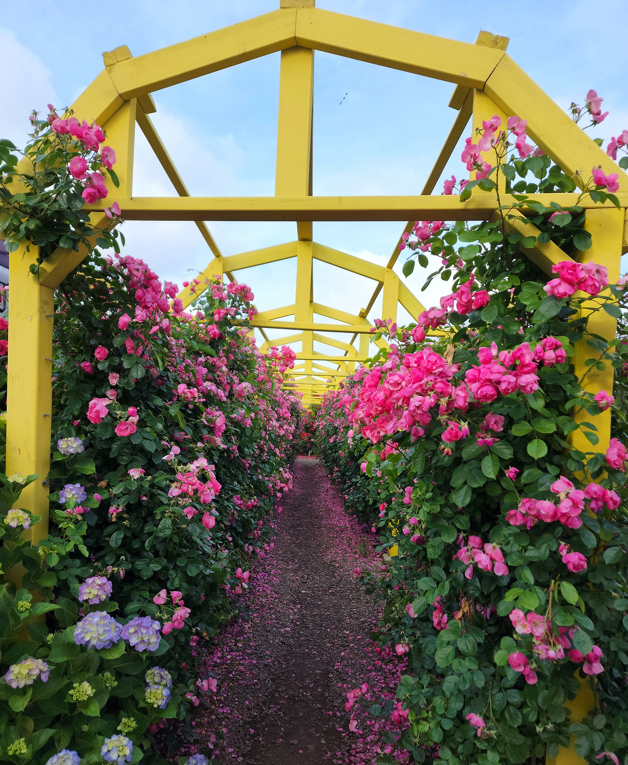 20220604_170743 (2).jpg