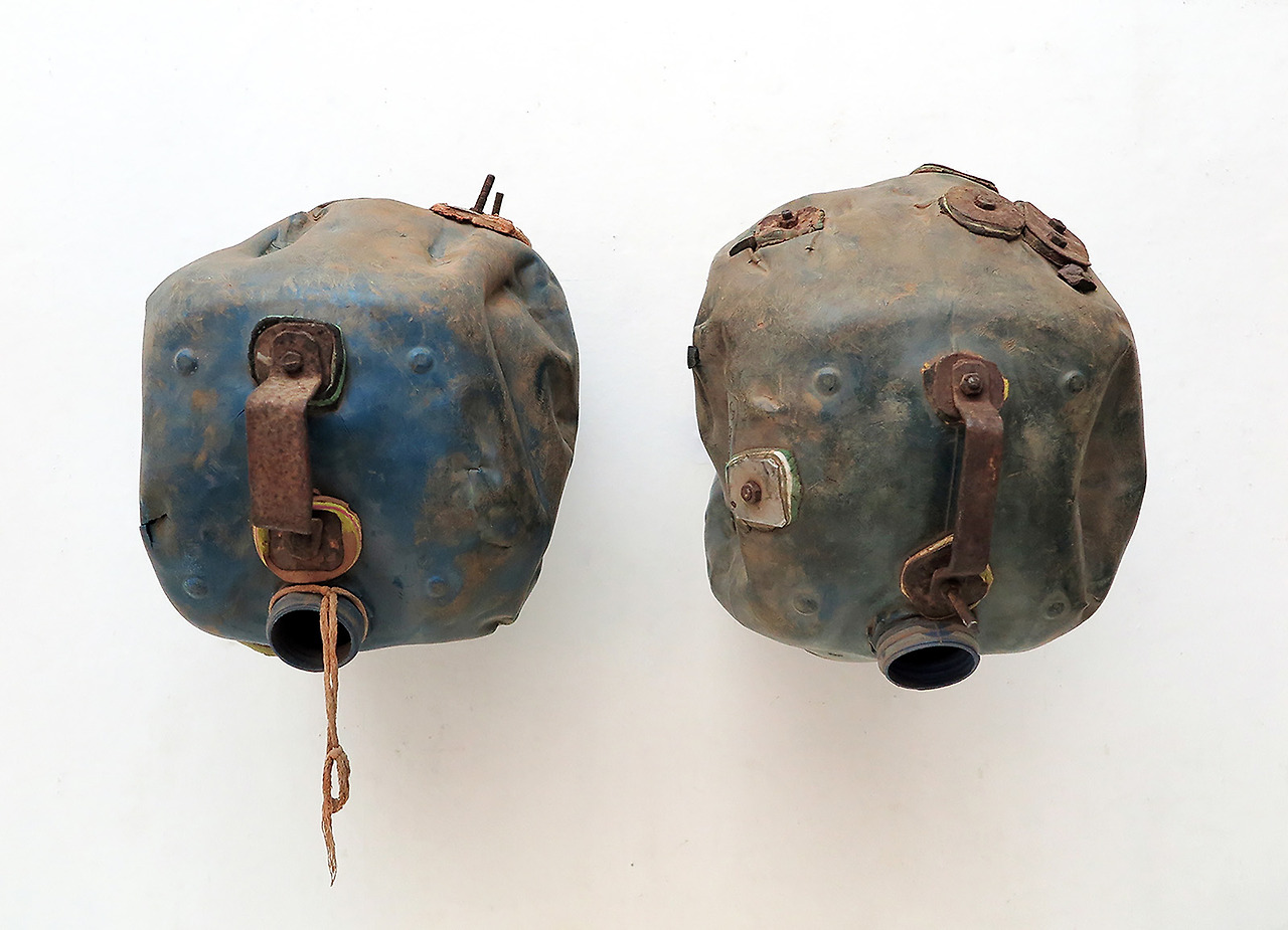 로무알드 하주메4.jpg