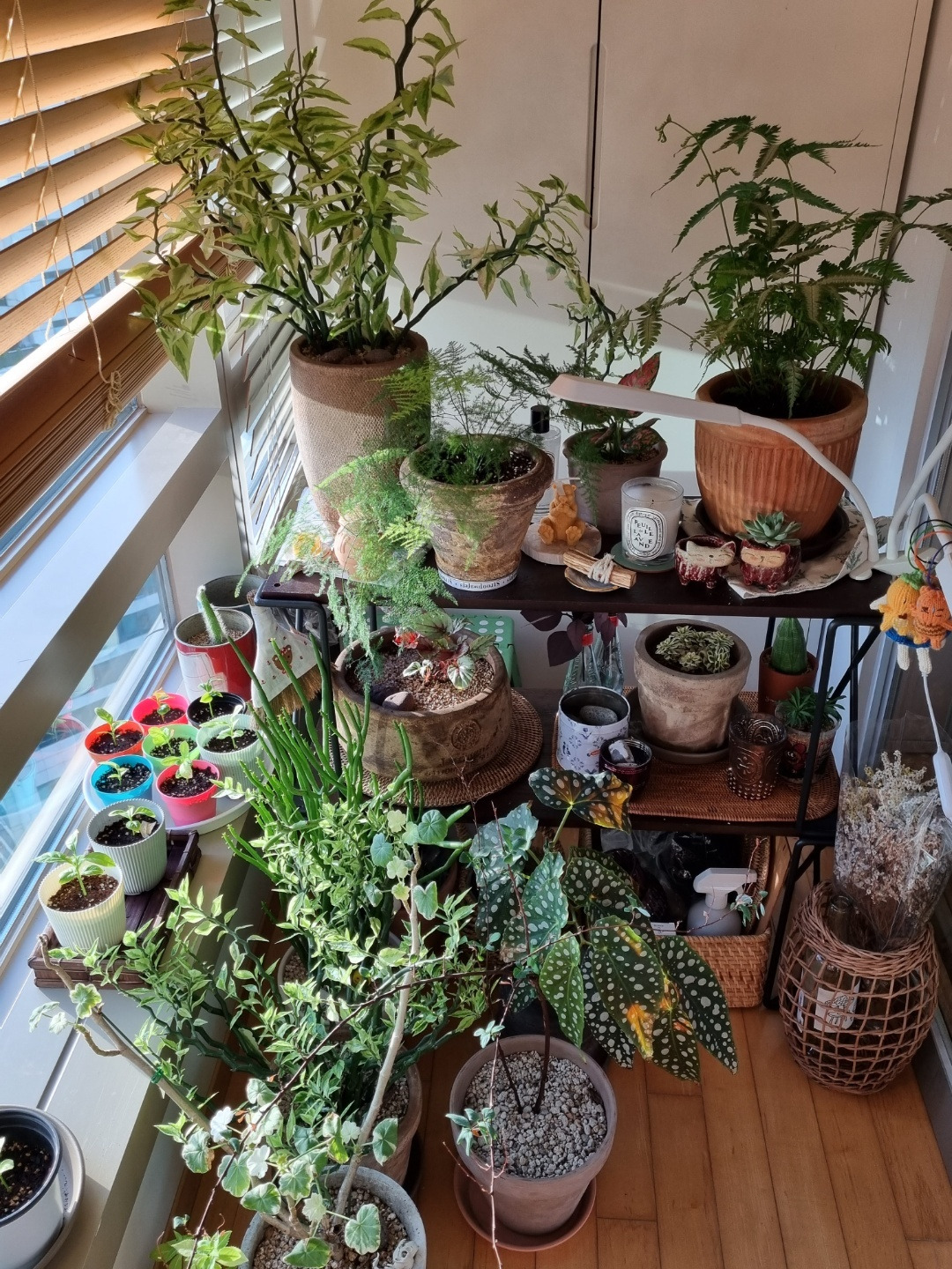 KakaoTalk_20220916_210206764 (1).jpg