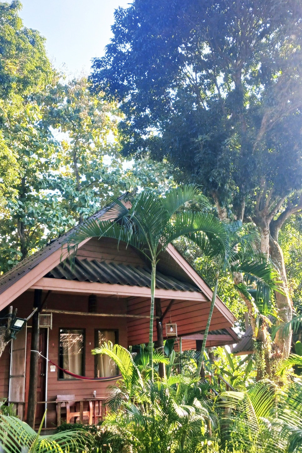 SE-61526e4d-bc3a-4242-99a2-7c76e7711ae6 복사.jpg