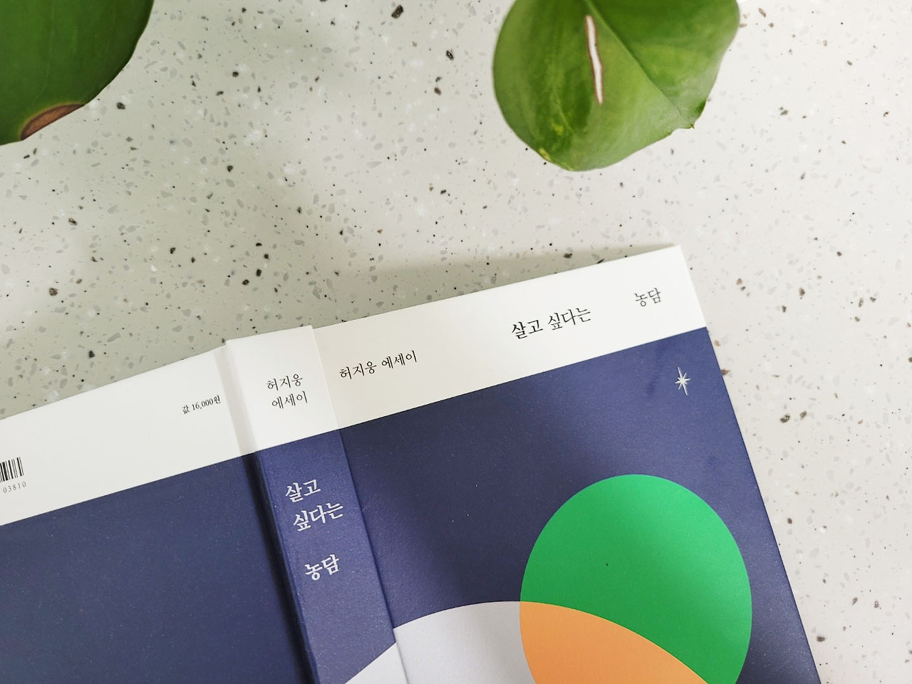 살고싶다는농담_허지웅_에세이_책 (1).jpg