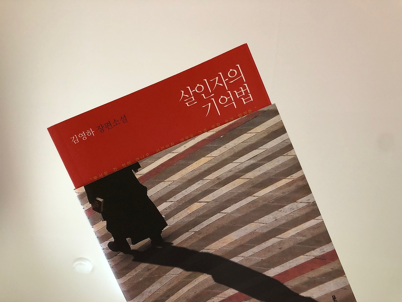 살인자의기억법_김영하_장편소설_문학동네_책_독서_문학 (1).jpg