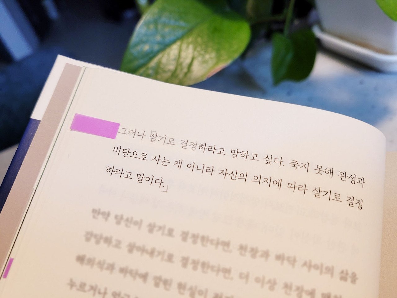 살고싶다는농담_허지웅_에세이_책 (4).jpg