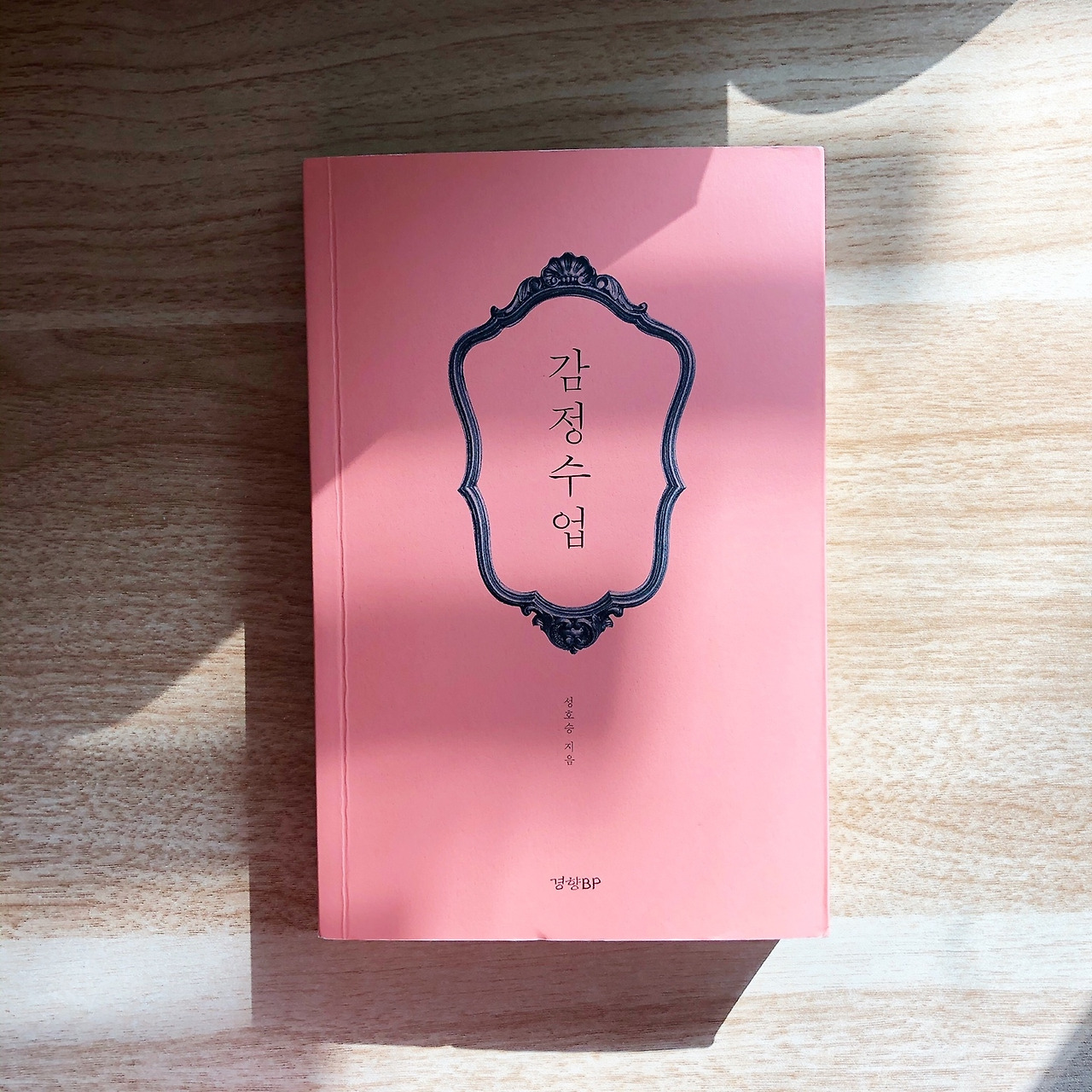 감정수업_성호승_에세이_책_essay (4).jpg