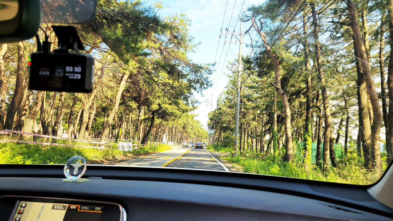 20230529 2_박이추커피_the30_바닷가 (2).jpg