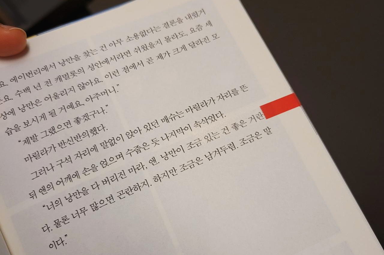 빨강머리앤_루시모드몽고메리 (1).jpg