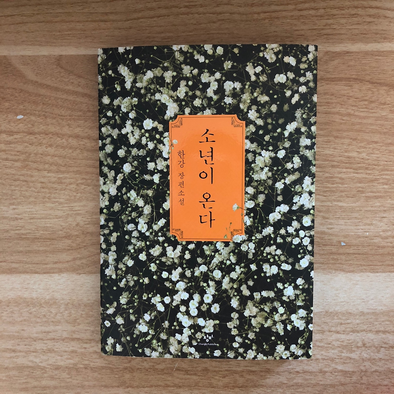 소년이온다_한강_518_5월18일광주_창비 (1).jpg