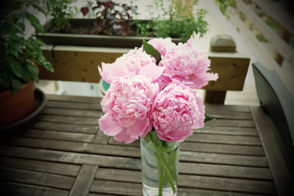 2015-03-Life-of-Pix-free-stock-photos-bouquet-pink-flower-table-julien-sister.jpg