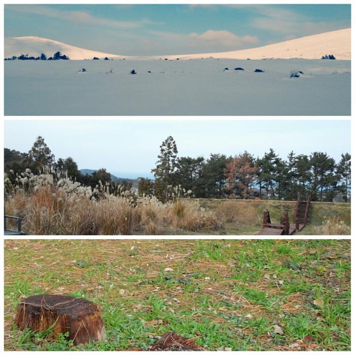 고도마다 다른 제주의 얼굴.jpg