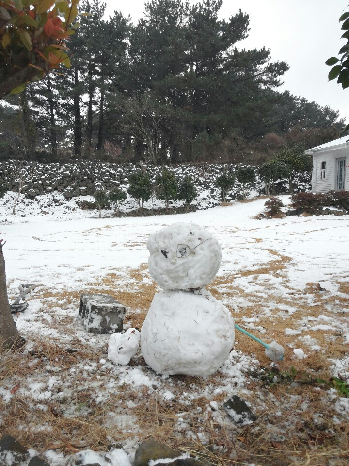 녹기 전에 만든 눈사람.jpg