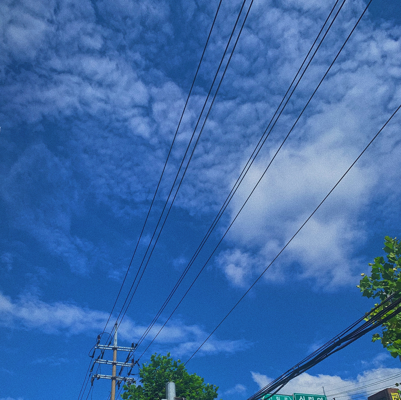 전민지_직감과 고집, 오기의 사이.jpg